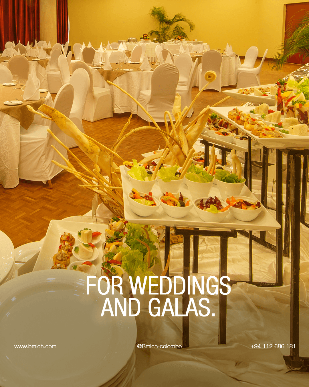 BMICH Sapphire Hall 04